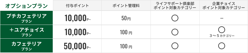 オプションプラン